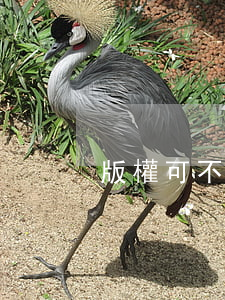 版權可不可以私下轉(zhuǎn)讓