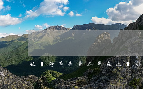 版權磋商未果 谷歌在法國支付5億歐元罰款
