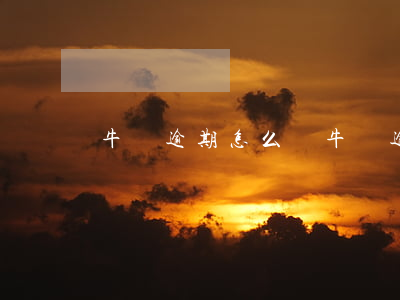 牛唄逾期怎么辦 牛唄逾期怎么辦