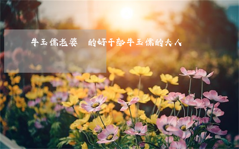 牛玉儒老婆(黨的好干部牛玉儒的夫人)