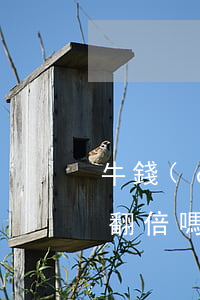 牛錢(qián)罐貸款逾期會(huì)翻倍嗎(牛錢(qián)罐貸款逾期會(huì)翻倍嗎)