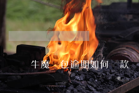 牛魔錢包逾期如何還款