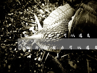 牡丹信用卡可以透支轉(zhuǎn)賬嗎(牡丹信用卡可以透支轉(zhuǎn)賬嗎)