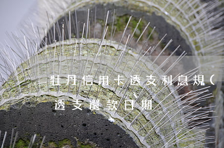 牡丹信用卡透支利息規(guī)則(牡丹卡透支還款日期)
