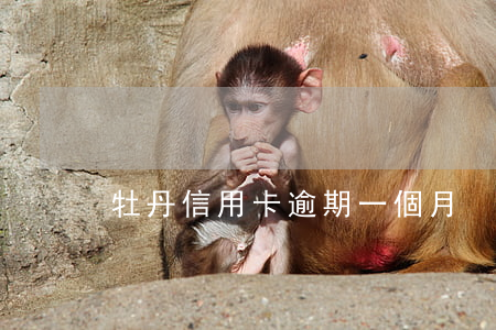 牡丹信用卡逾期一個月