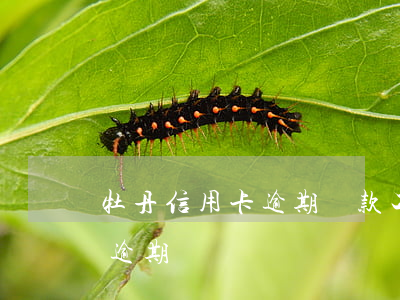 牡丹信用卡逾期還款(工行牡丹信用卡多久算逾期)