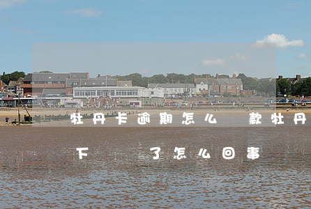 牡丹卡逾期怎么貸款(牡丹卡逾期了,銀行查了下銷戶了怎么回事)
