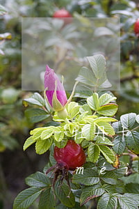牡丹卡逾期沒(méi)還(牡丹卡逾期沒(méi)還會(huì)怎么樣)