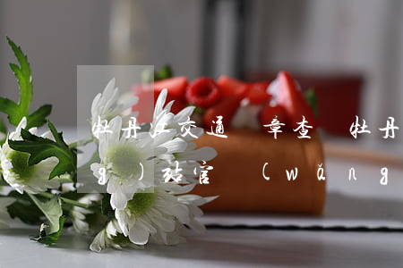 牡丹江交通違章查詢(牡丹江交警網(wǎng)站官網(wǎng))