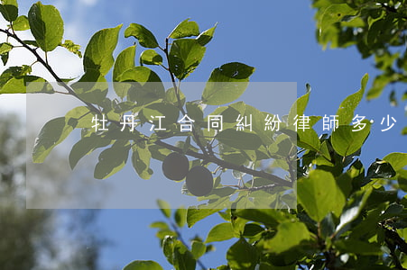 牡丹江合同糾紛律師多少錢