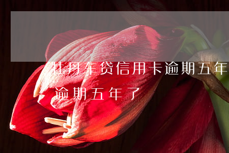 牡丹车贷信用卡逾期五年了(牡丹车贷信用卡逾期五年了)