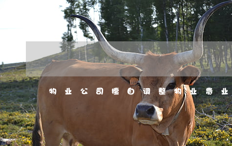 物业公司擅自调整物业费，业主是否拒缴