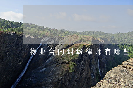 物业合同纠纷律师有哪些