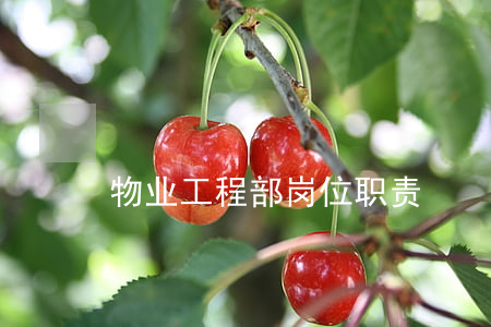 物业工程部岗位职责