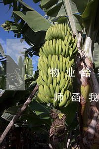 物业给我发律师函我该怎么办(物业给我发律师函我该怎么办)