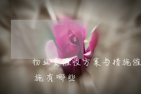 物业费催收方案与措施(催收物业费的有效措施有哪些)