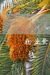 物业费起诉费用多少钱(物业费起诉费用多少钱)