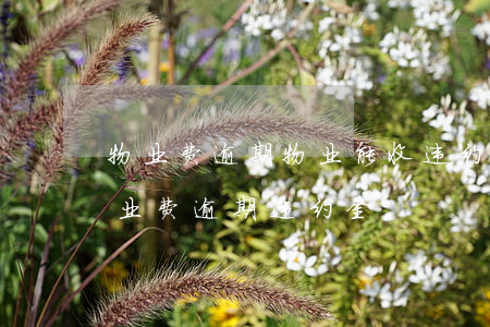 物业费逾期物业能收违约金吗(业主不缴纳物业费逾期违约金)