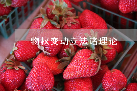 物权变动立法诸理论