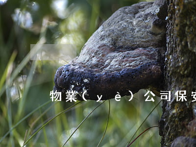 物業(yè)公司保安服務(wù)