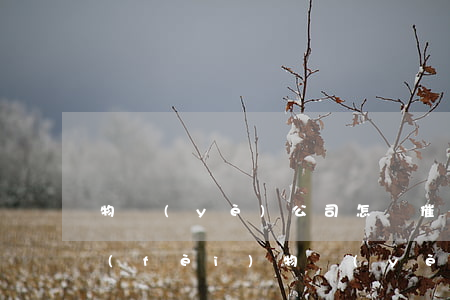物業(yè)公司怎樣催繳物業(yè)費(fèi)(物業(yè)公司怎樣催繳物業(yè)費(fèi))