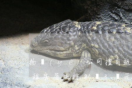 物業(yè)公司擅自越權(quán)出租房屋，法院判罰3萬元