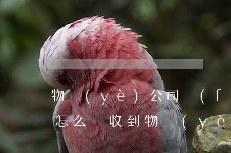 物業(yè)公司發(fā)了催費律師函怎么辦(收到物業(yè)催款律師函怎么處理)