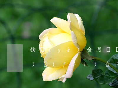 物業(yè)合同糾紛如何解決(物業(yè)費(fèi)合同糾紛)