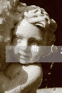 物業(yè)合同糾紛官司如何處理