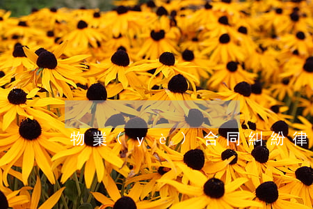 物業(yè)合同糾紛律師有哪些