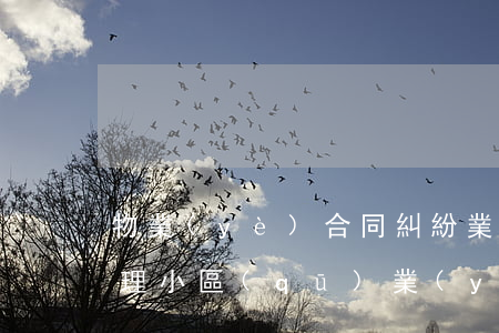 物業(yè)合同糾紛業(yè)主如何處理(小區(qū)業(yè)主和物業(yè)糾紛)