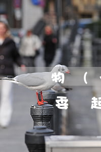 物業(yè)委托合同糾紛案例(業(yè)委會起訴物業(yè)案例)