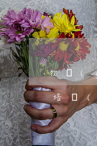 物業(yè)工程部法律法規(guī)的培訓(物業(yè)管理的法律法規(guī))