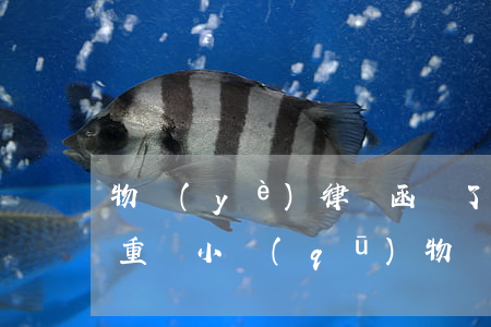 物業(yè)律師函來了后果嚴(yán)重嗎(小區(qū)物業(yè)發(fā)的律師函有用嗎)