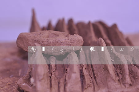 物業(yè)服務(wù)合同