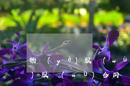 物業(yè)服務(wù)合同(物業(yè)服務(wù)合同糾紛)