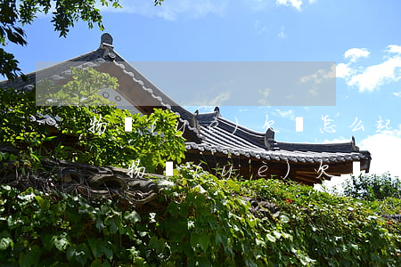 物業(yè)欠錢怎么起訴可以快速走流程-物業(yè)欠錢怎么起訴可以快速走流程呢