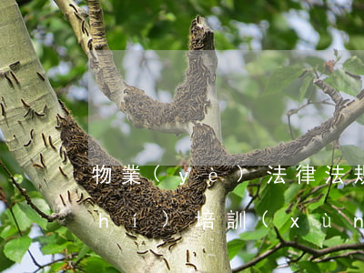 物業(yè)法律法規(guī)知識(shí)培訓(xùn)(住在小區(qū)里一定要了解這14條物業(yè)法律知識(shí))