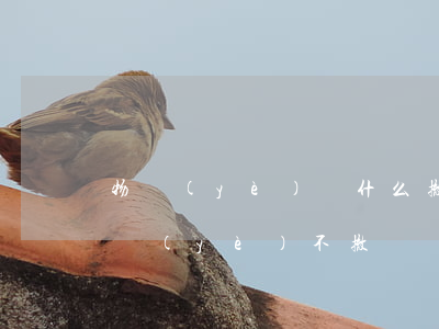 物業(yè)為什么撤訴(12345投訴物業(yè)不撤訴會(huì)怎么樣)