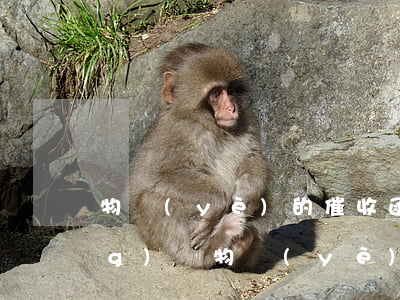 物業(yè)的催收函有法律效應(yīng)嗎(物業(yè)催費(fèi)律師函有法律效應(yīng)嗎)