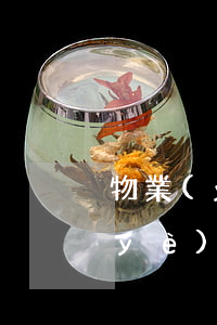 物業(yè)管理制度(小區(qū)物業(yè)管理制度)