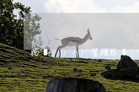 物業(yè)管理服務(wù)合同新