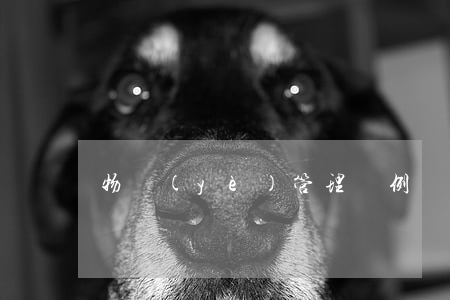 物業(yè)管理條例