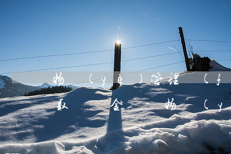 物業(yè)管理費(fèi)逾期可以收取滯納金嗎-物業(yè)管理費(fèi)逾期可以收取滯納金嗎合法嗎