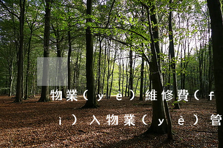 物業(yè)維修費(fèi)能否計(jì)入物業(yè)管理費(fèi)