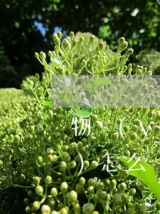物業(yè)費(fèi)不交會(huì)怎么樣