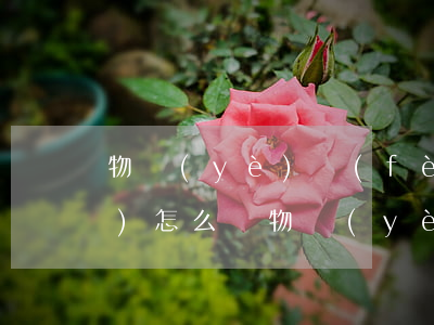 物業(yè)費(fèi)不交會(huì)怎么樣(物業(yè)費(fèi)不交會(huì)怎么樣)