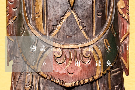 物業(yè)費(fèi)中的最一些費(fèi)用不能免