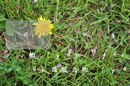 物業(yè)費(fèi)短信怎么發(fā)(提醒交物業(yè)費(fèi)的短信)