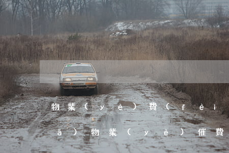 物業(yè)費(fèi)短信怎么發(fā)(物業(yè)催費(fèi)短信怎樣寫)
